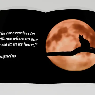 Decorative objects - Love Cats - EDITIONS FLORENTIN
