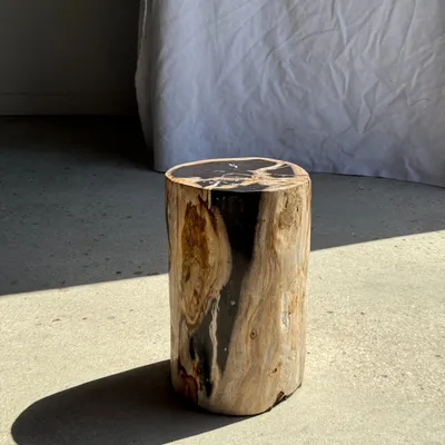 Stools - Petrified wood side table black heart beige bark H35 D22 - 333 - OFFICE OBJETS