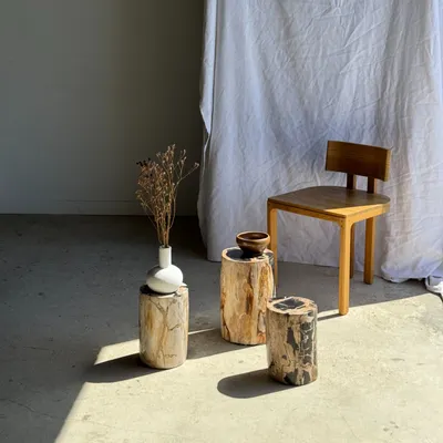 Stools - Petrified wood side table black heart beige bark H35 D22 - 333 - OFFICE OBJETS
