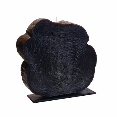 Bougies - FOREST ESSENCE CEDAR WOOD CANDLE AND SUPPORT SET - CERABELLA SL
