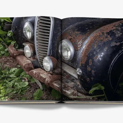 Decorative objects - Fabulous forgotten collections - EDITIONS FLORENTIN