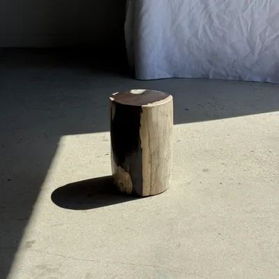 Autres tables  - Petite table d'appoint en bois pétrifié noir et blanc H28 D18 - OFFICE OBJETS
