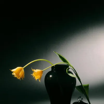 Vases - Black Pearl - PRISAKARU CERAMICS