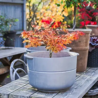 Pots de fleurs - LINEA No 2 Medium - KORBO