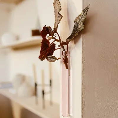 Vases - Soliflore (1 pièce) - WALLEAF