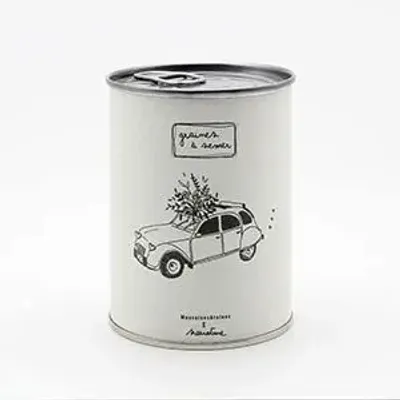 Decorative objects - Sowing kit\" 2 CV\” Made in France - MAUVAISES GRAINES
