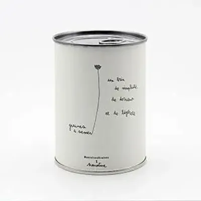 Objets de décoration - Kit à semer "Simplicité" - MAUVAISES GRAINES