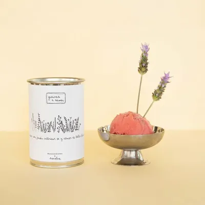 Decorative objects - Sowing kit\" Indoor Garden\ " - MAUVAISES GRAINES
