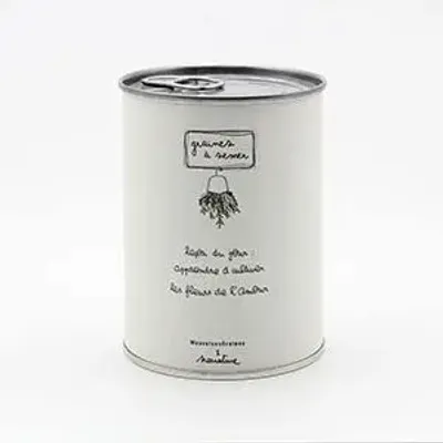 Decorative objects - Sowing kit\" Lesson of the day\ " - MAUVAISES GRAINES