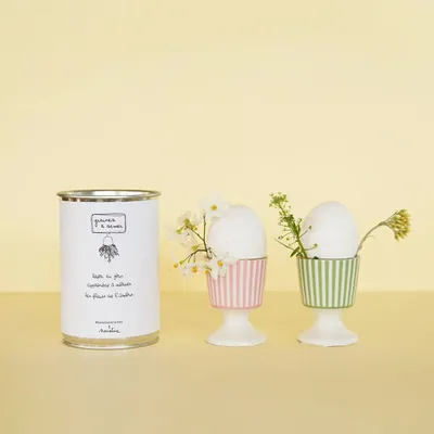 Decorative objects - Sowing kit\" Lesson of the day\ " - MAUVAISES GRAINES
