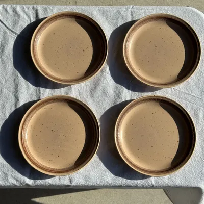 Assiettes au quotidien - Lot de 4 assiettes à dessert en grès beige liseré brun Sarreguemines - OFFICE OBJETS