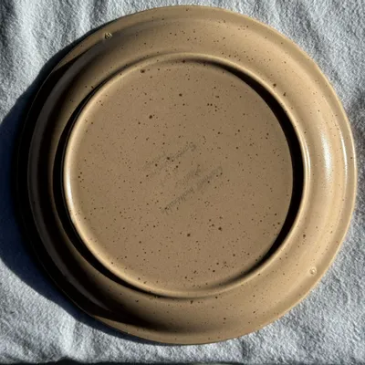 Everyday plates - Set of 4 unbranded stoneware dinner plates - OFFICE OBJETS