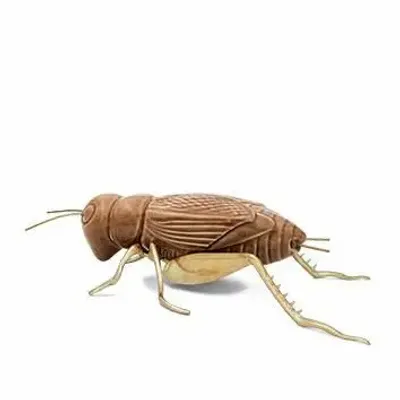 Objets design - The singing of the Cricket - Decorative, Ceramic - LABORATÓRIO D'ESTÓRIAS
