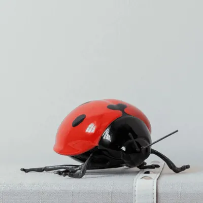 Objets design - Décoratif, Céramique - Coccinelle, voler, voler - LABORATÓRIO D'ESTÓRIAS