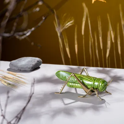 Design objects - The calm of the grasshopper - Decorative, ceramic - LABORATÓRIO D'ESTÓRIAS