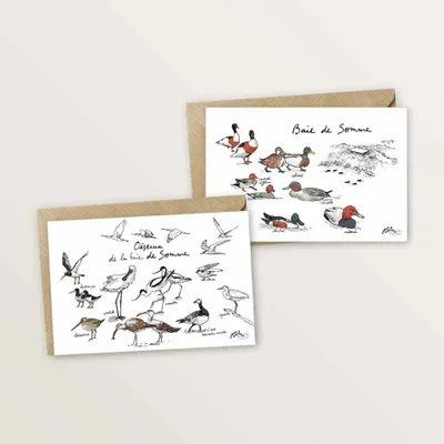 Card shop - Set of 2 postcards — Birds & ducks of the Bay of Somme - TABLE À CARTES