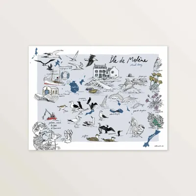 Poster - Molène Island — Art print 40 × 30 cm - TABLE À CARTES
