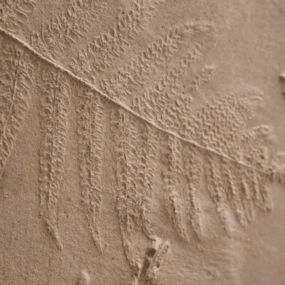 Decorative wall frescoes - Footprints, Pteridium aquilinum and Carpinus betulus - ATELIER MATHILDE FAUCARD