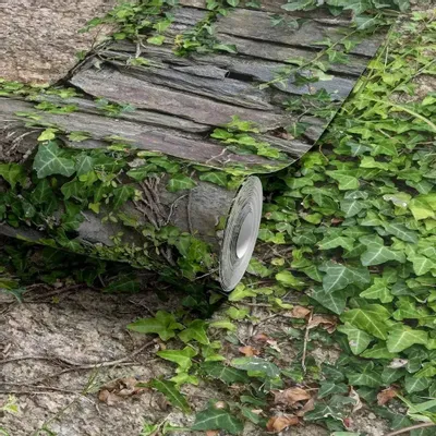 Trompe-l'œil pour murs - RIBEIRA - HUGO DIEGO