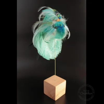 Pièces uniques - Collection Oiseaux Imaginaire : Odyssée - SYLVIE CHÂTILLON