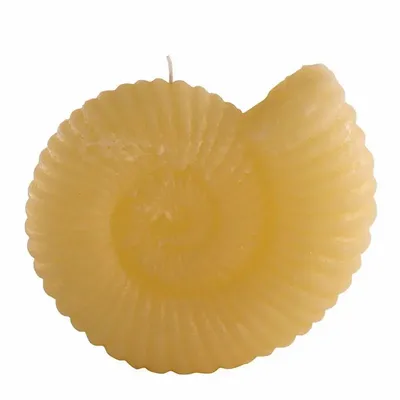Candles - AMMONITE CANLDES COLLECTION - CERABELLA SL