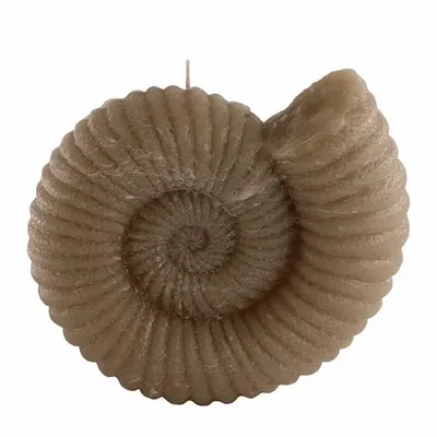 Candles - AMMONITE CANLDES COLLECTION - CERABELLA SL