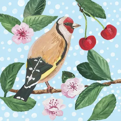 Placemats - European Songbirds Coaster - ZOOH
