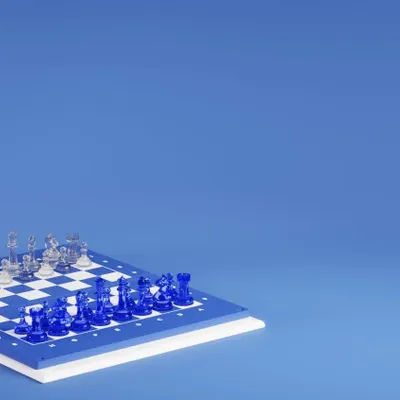 Children's games - Livre-jeu Echecs Shô - SAS LIZIA