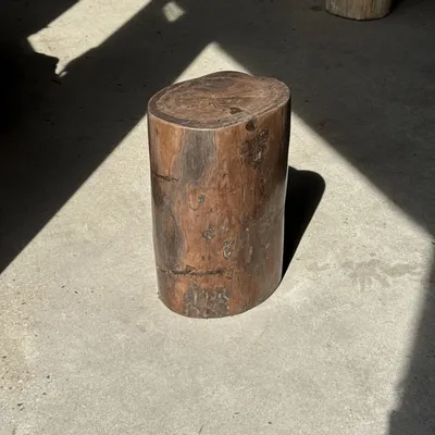 Coffee tables - Brown petrified wood side table H46 D29 - 3338 - OFFICE OBJETS