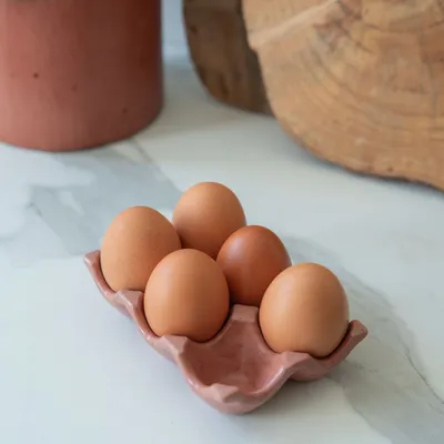 Food storage - Célestin egg box - ERBEKO