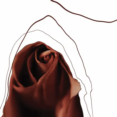 Parfums pour soi et eaux de toilette - Graphic observation 1 - BELLA PARI