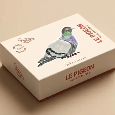 Stationery - The pigeon Zoé de La Cases - HACHETTE LIVRE