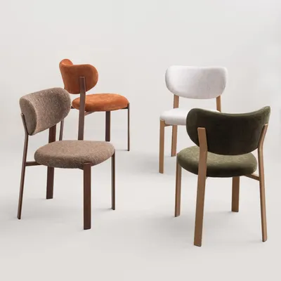 Chairs - Dino chairs - AMADEUS