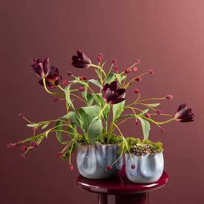 Vases - Cache-pot Plisse - LOU DE CASTELLANE