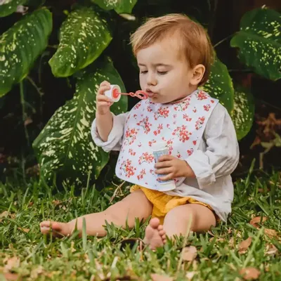 Kids accessories - Bib - The Flamboyant Trees - POP ET SES FRÈRES