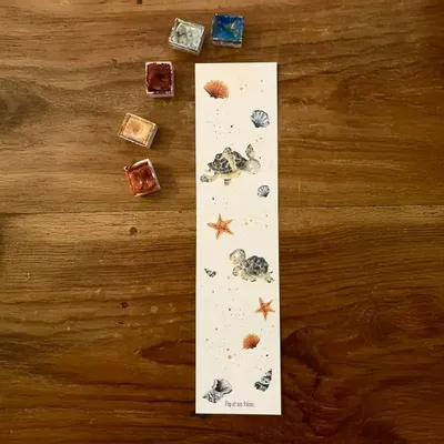 Card shop - Bookmark - Les Tortues et les Coquillages - POP ET SES FRÈRES