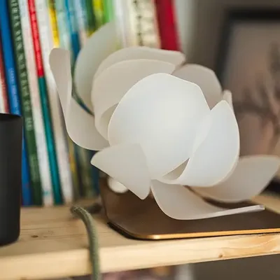 Table lamps - Lotus table lamp - ANCA FETCU STUDIO