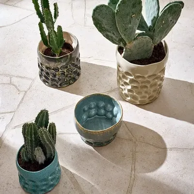 Poterie - Bossanova - POMAX