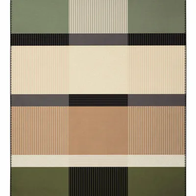 Throw blankets - Blanket Land Check - BIEDERLACK