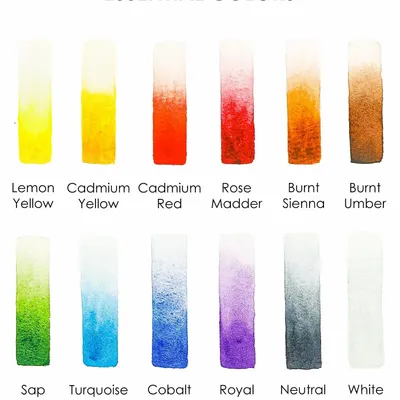 Papeterie bureau - Ensemble de 12 aquarelles de poche avec pinceau - Couleurs essentielle - GRABIE