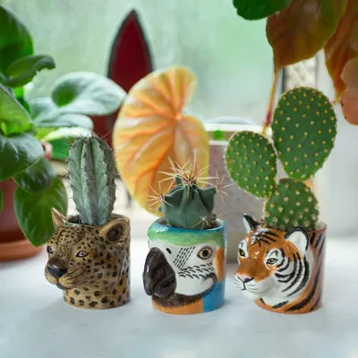 Gifts - Quail Mini Pot - QUAIL DESIGNS EUROPE BV