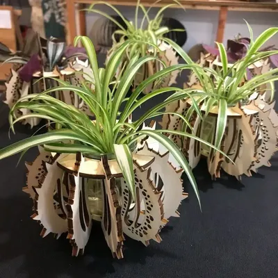 Vases - Baby Urchin - Plant pot - LA COUR DU JUCH