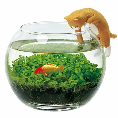 Objets déco enfant - Water Garden with Cat - NOTED