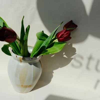 Vases - Vase émaillé - STUDIO MAUJ