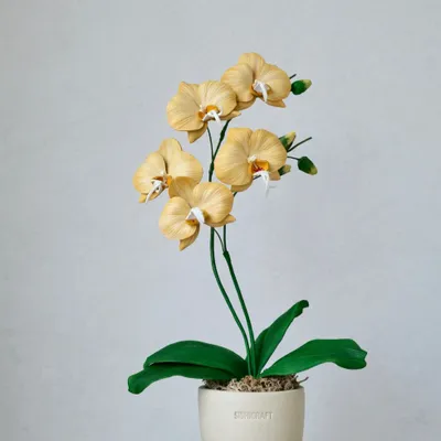 Petite maroquinerie - Orchidée phalaenopsis en cuir - SISHICRAFT STUDIO