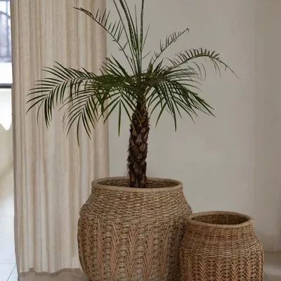 Corbeilles - Le Panier Luziru - Naturel - M - BAZAR BIZAR LIVING