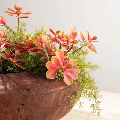 Objets de décoration - Cache-Pot Hong - LOU DE CASTELLANE