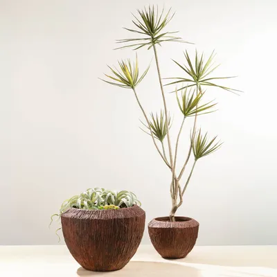 Vases - Cache-Pot Hoa - LOU DE CASTELLANE
