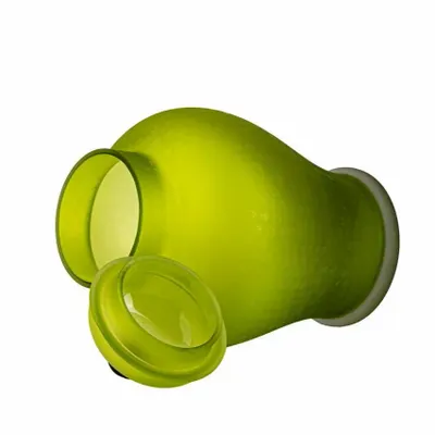 Art glass - Fern - PRISAKARU CERAMICS