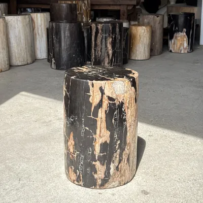 Stools - Black petrified wood side table beige side H35 D24 - 3352 - OFFICE OBJETS